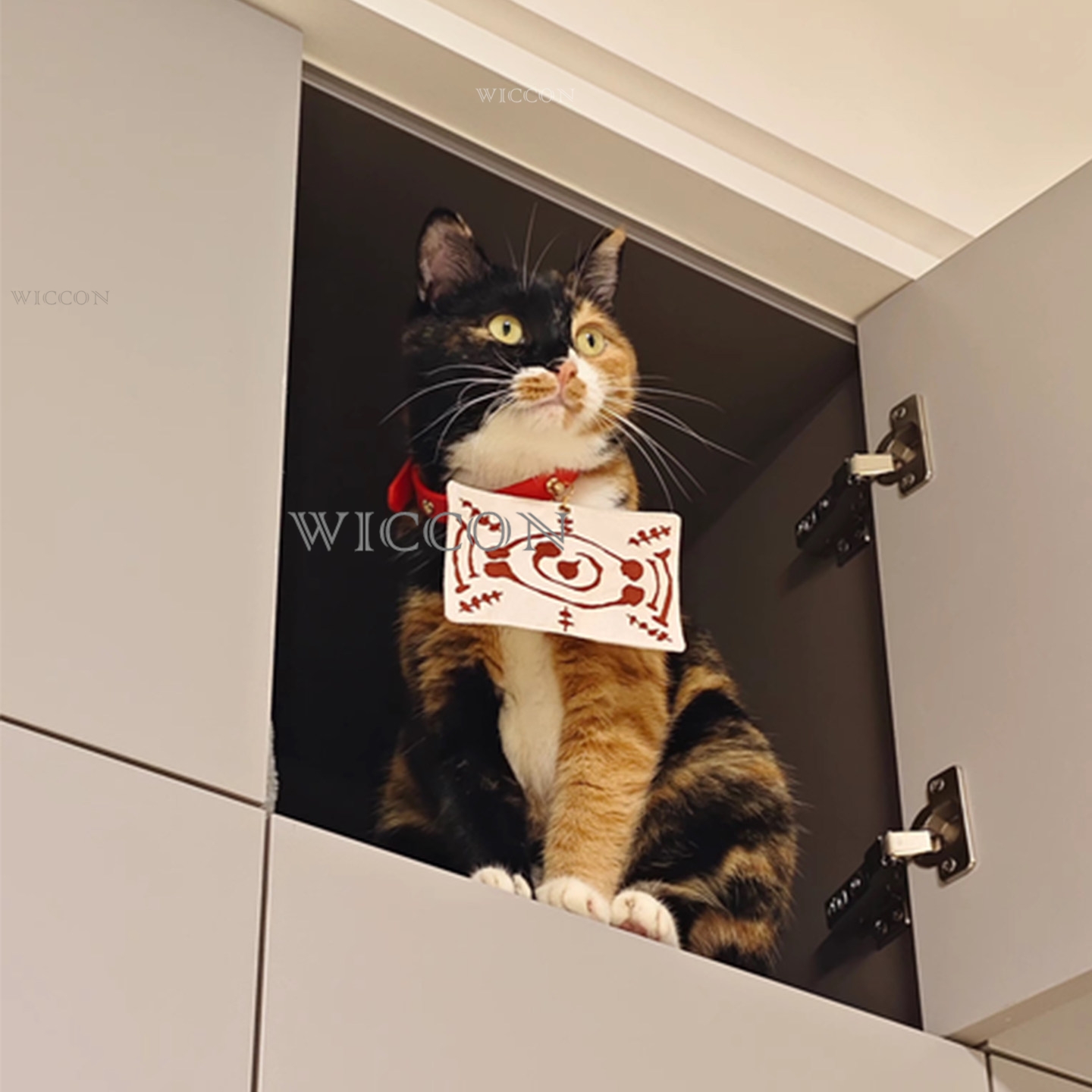 Chachamaru Cat Tamayos Zwierzę – Cosplay Anime Jjk recenzja i cena